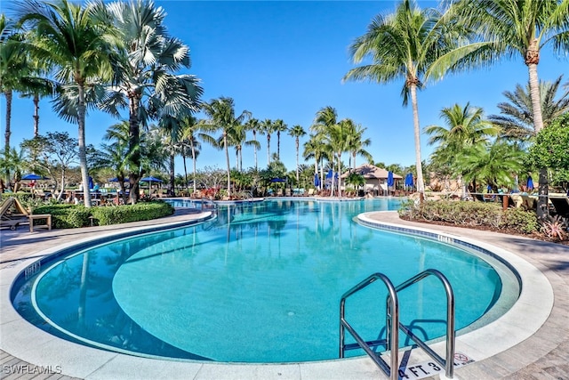 11330 Hidalgo Ct, Fort Myers, FL 33912 - view of community pool