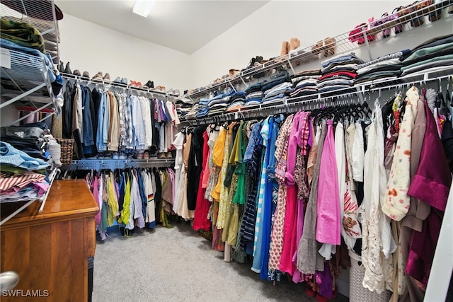 3387 Pilot Cir, Naples, FL 34120 - spacious closet with carpet flooring