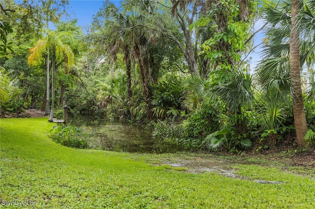4811 Shady River Ln, Fort Myers, FL 33905 - view of grassy yard