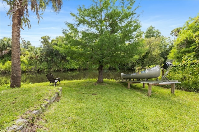 4811 Shady River Ln, Fort Myers, FL 33905 - view of grassy yard