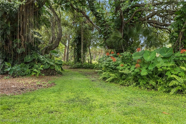 4811 Shady River Ln, Fort Myers, FL 33905 - view of grassy yard