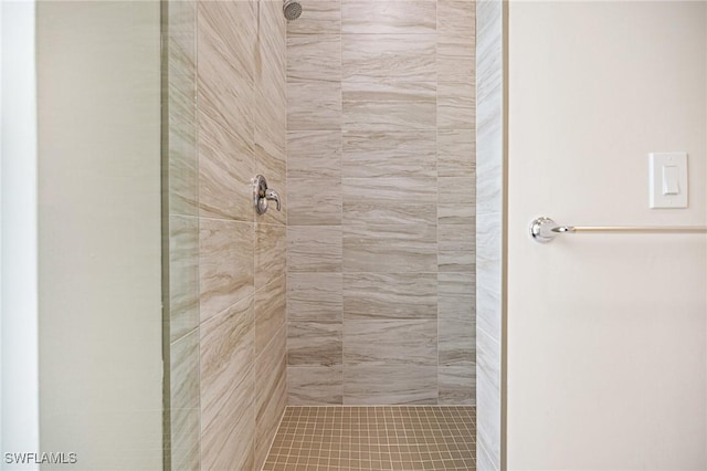 1117 SW Trafalgar Pkwy, Cape Coral, FL 33991 - bathroom with a tile shower