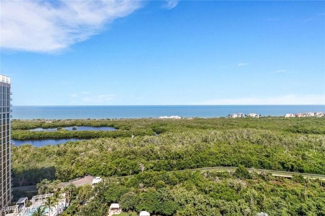 7117 Pelican Bay Blvd Unit 1801, Naples, FL 34108 - drone / aerial view of a large body of water
