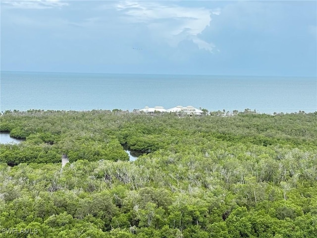 7117 Pelican Bay Blvd Unit 1801, Naples, FL 34108 - water view