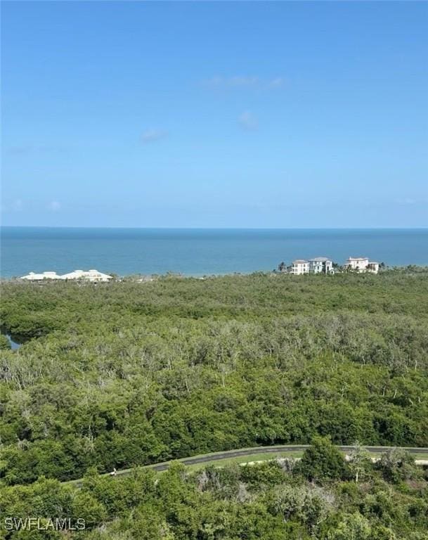 7117 Pelican Bay Blvd Unit 1801, Naples, FL 34108 - water view