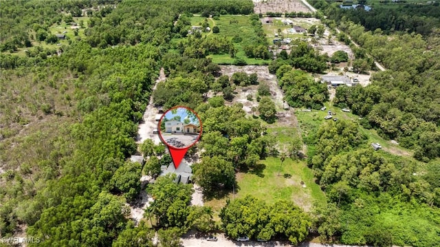 1904 Ivisa Ave, Naples, FL 34117 - photo 45