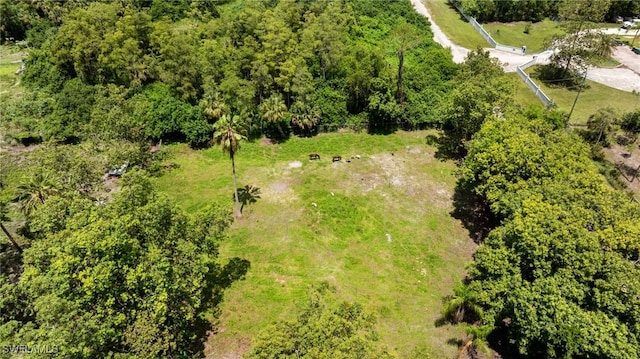 1904 Ivisa Ave, Naples, FL 34117 - photo 47