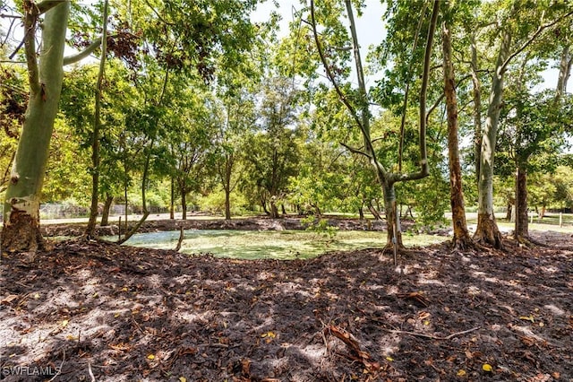 1904 Ivisa Ave, Naples, FL 34117 - photo 48