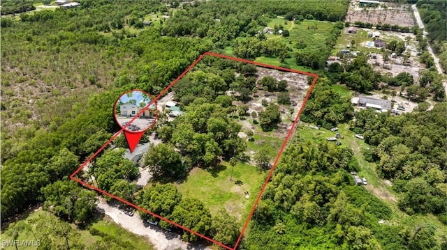 1904 Ivisa Ave, Naples, FL 34117 - photo 44