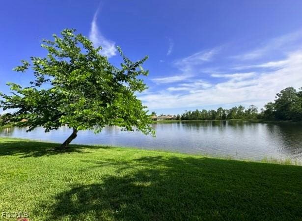 4167 Dutchess Park Rd, Fort Myers, FL 33916 - photo 40