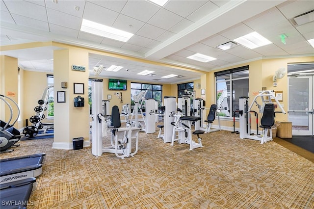 4780 Shinnecock Hills Ct Unit 102, Naples, FL 34112 - exercise room with carpet and a drop ceiling
