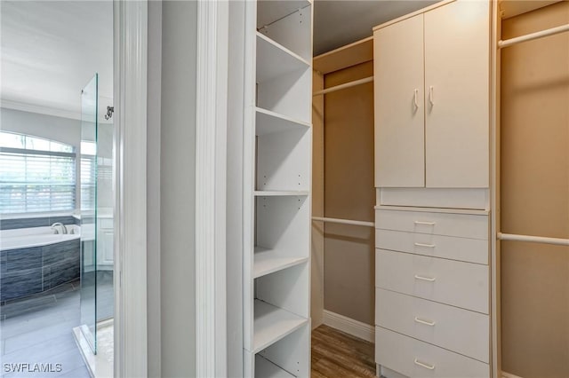 4582 Fairloop Run, Lehigh Acres, FL 33973 - view of walk in closet