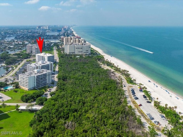 1 Bluebill Ave Unit 302, Naples, FL 34108 - photo 17
