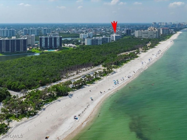 1 Bluebill Ave Unit 302, Naples, FL 34108 - photo 18