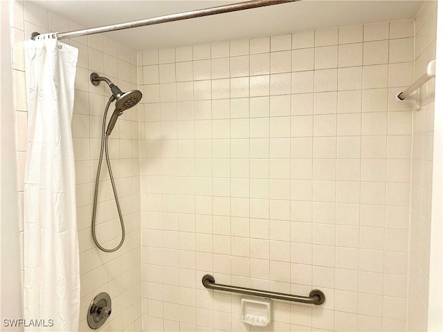 13118 Feather Sound Dr Unit 208, Fort Myers, FL 33919 - full bath featuring a shower with curtain