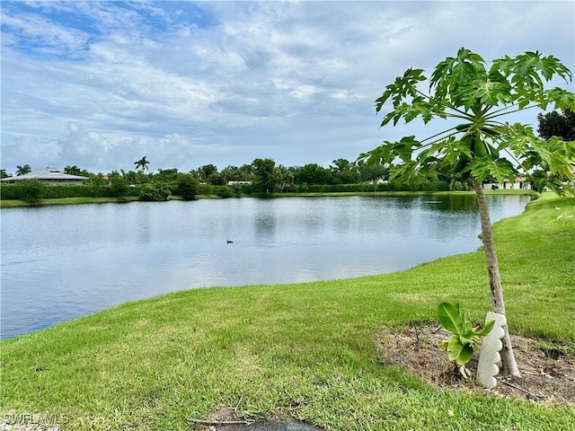 13118 Feather Sound Dr Unit 208, Fort Myers, FL 33919 - water view