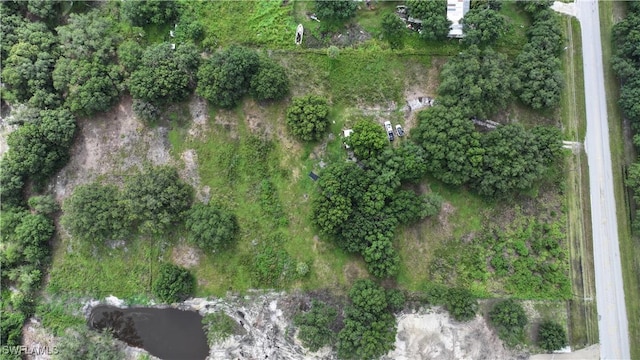 4932 Loblolly Bay Rd, Labelle, FL 33935