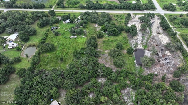 4932 Loblolly Bay Rd, Labelle, FL 33935