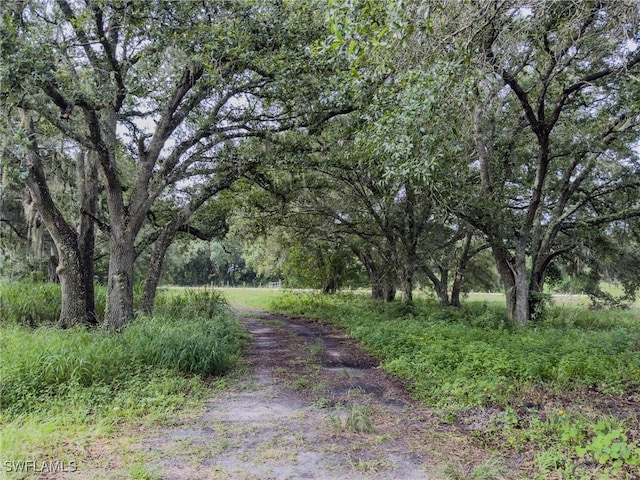 4932 Loblolly Bay Rd, Labelle, FL 33935