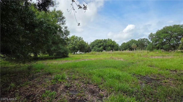 4932 Loblolly Bay Rd, Labelle, FL 33935