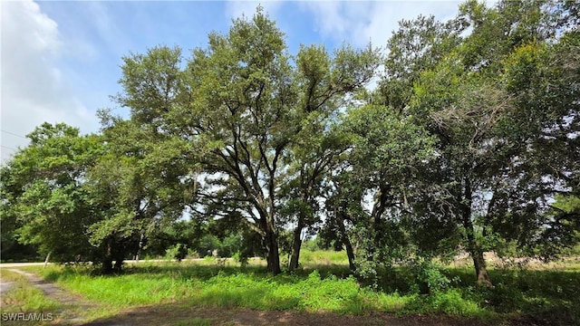 4932 Loblolly Bay Rd, Labelle, FL 33935