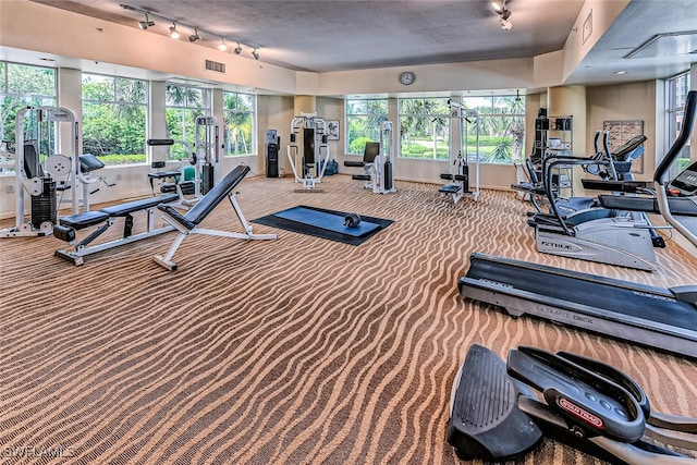 8771 Estero Blvd Unit 406, Fort Myers Beach, FL 33931 - exercise room featuring rail lighting, carpet flooring, and healthy amount of natural light