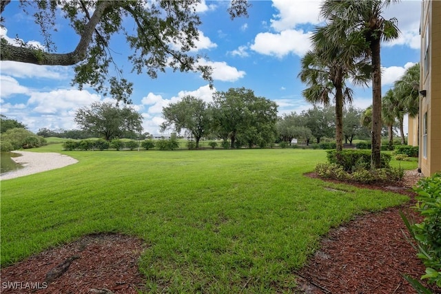 11500 Villa Grand Unit 310, Fort Myers, FL 33913 - view of green lawn
