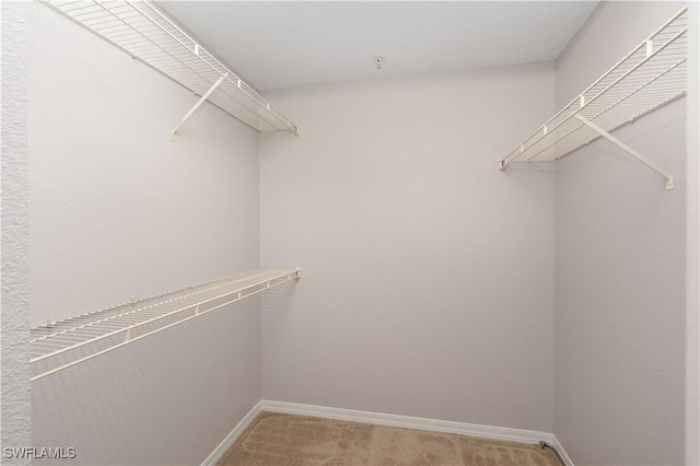 11500 Villa Grand Unit 310, Fort Myers, FL 33913 - photo 16