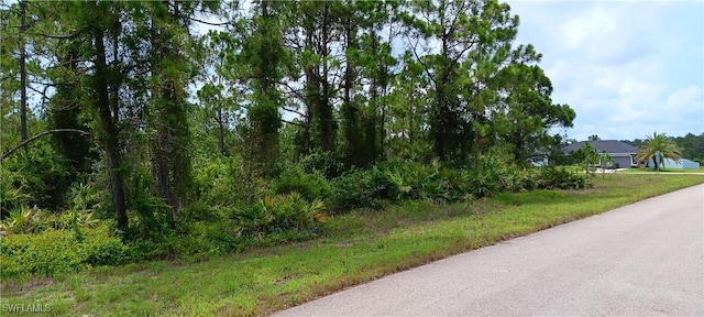 513 Keller St E, Lehigh Acres, FL 33974