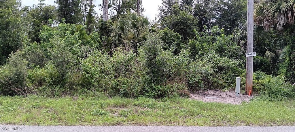 832 Anaconda Ave S, Lehigh Acres, FL 33974