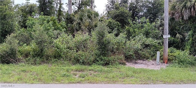 832 Anaconda Ave S, Lehigh Acres, FL 33974