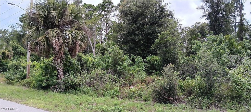 832 Anaconda Ave S, Lehigh Acres, FL 33974