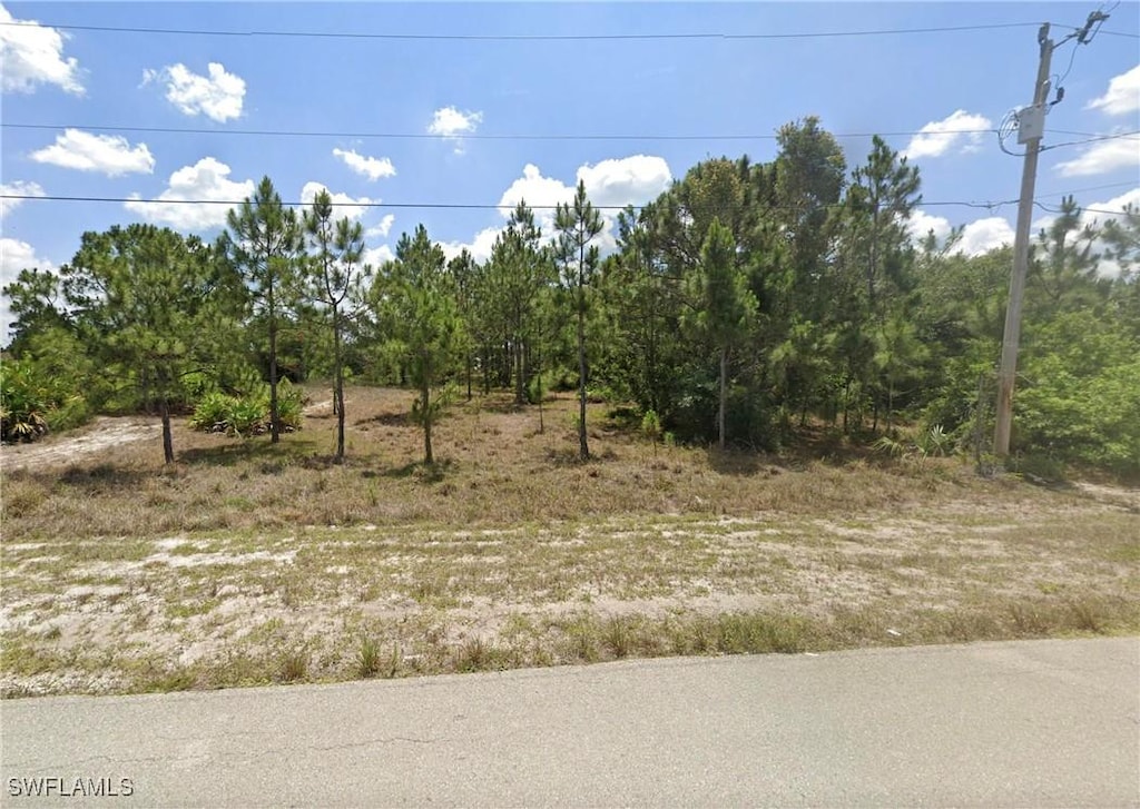 713 Oakridge Ave S, Lehigh Acres, FL 33974