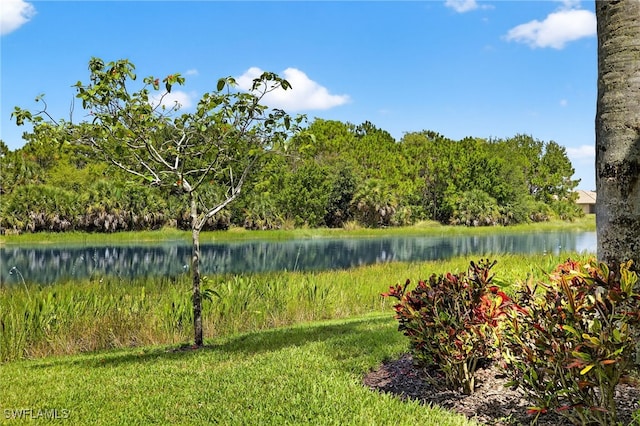 20020 Barletta Ln Unit 514, Estero, FL 33928 - photo 30
