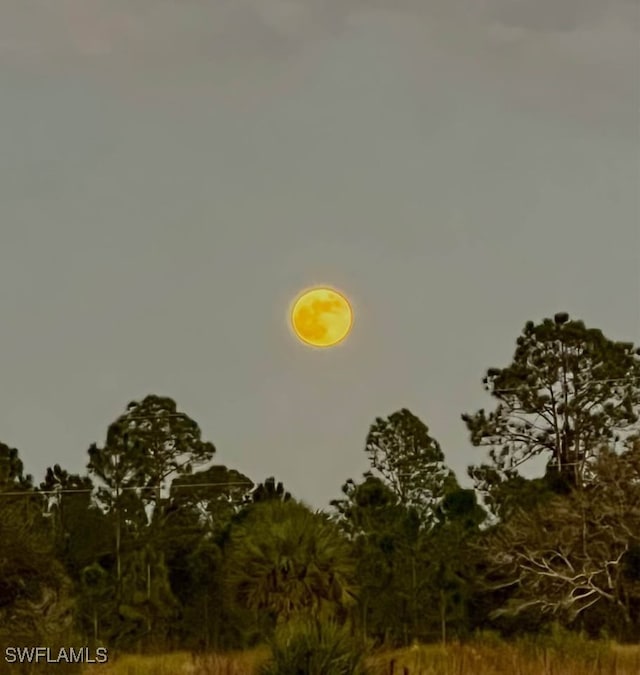 50404 Bermont Rd, Punta Gorda, FL 33982