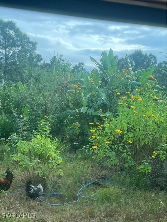 50404 Bermont Rd, Punta Gorda, FL 33982
