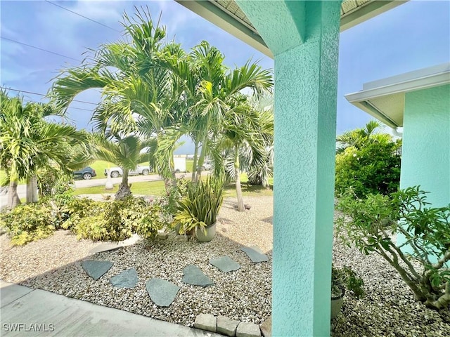 304 NW 22nd Ave, Cape Coral, FL 33993 - view of yard