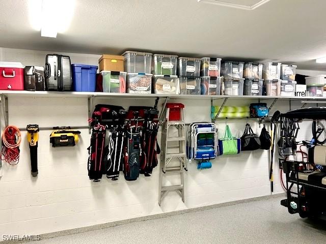 16569 Windsor Way, Alva, FL 33920 - view of storage