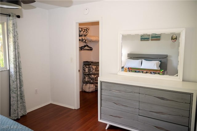 5870 Star Grass Ln, Naples, FL 34116 - bedroom with a spacious closet, dark wood-style floors, and a closet