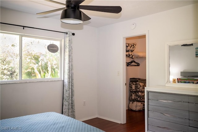 5870 Star Grass Ln, Naples, FL 34116 - bedroom with a walk in closet, dark wood-style floors, multiple windows, and a closet