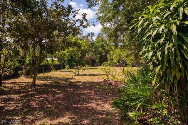 5870 Star Grass Ln, Naples, FL 34116 - view of nature