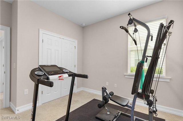 15097 Ligustrum Ln, Alva, FL 33920 - photo 26