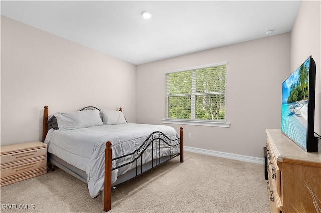 15097 Ligustrum Ln, Alva, FL 33920 - photo 29
