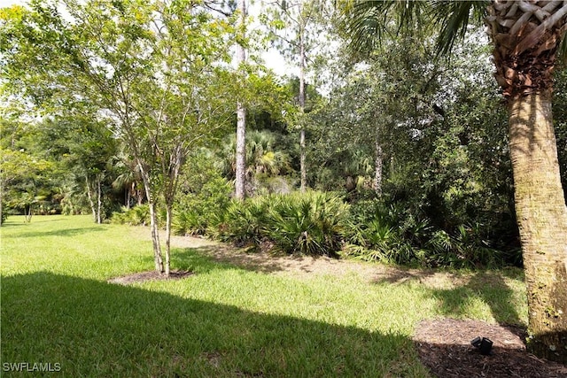 15097 Ligustrum Ln, Alva, FL 33920 - photo 9