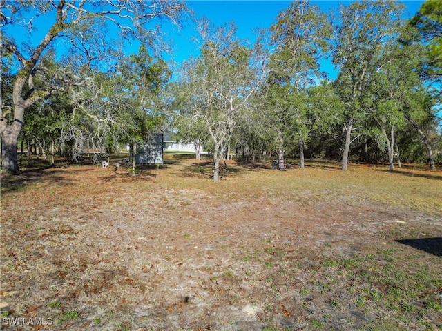 14075 Canyon Swallow Rd, Weeki Wachee, FL 34614 - photo 6