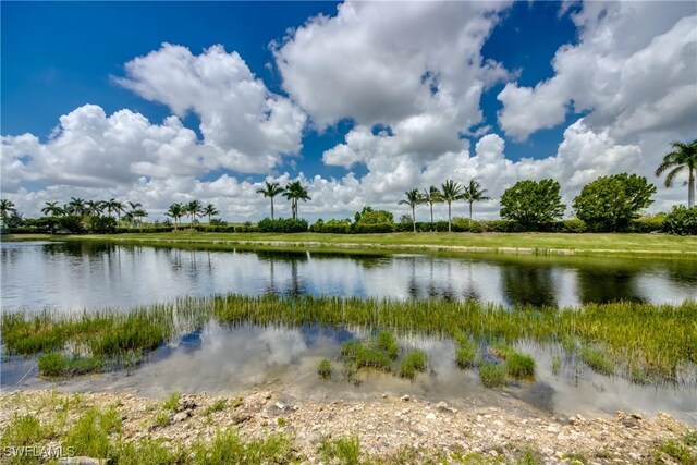 11592 Shady Blossom Dr, Fort Myers, FL 33913 - photo 28