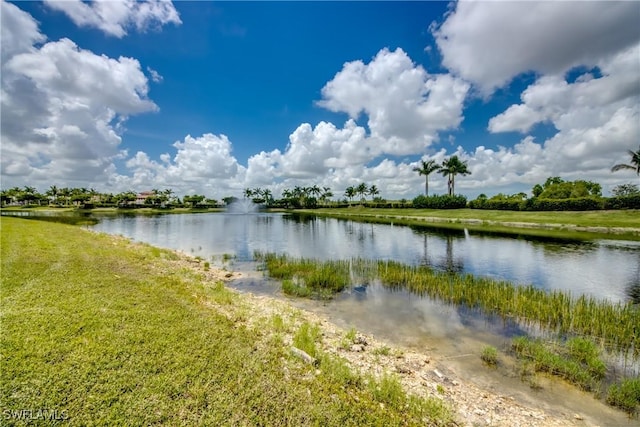 11592 Shady Blossom Dr, Fort Myers, FL 33913 - photo 29