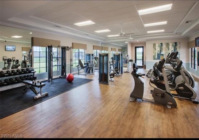 23056 Sanabria Loop, Bonita Springs, FL 34135 - exercise room with a ceiling fan, plenty of natural light, wood finished floors, ornamental molding, and a paneled ceiling