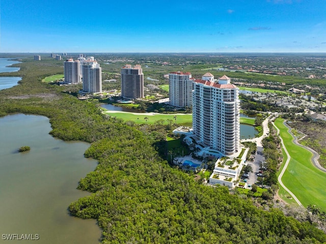 4731 Bonita Bay Blvd Unit 1703, Bonita Springs, FL 34134 - photo 38