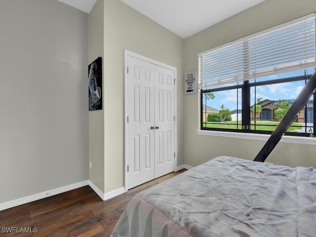 446 SW 19th Ter, Cape Coral, FL 33991 - bedroom featuring wood finished floors and a closet